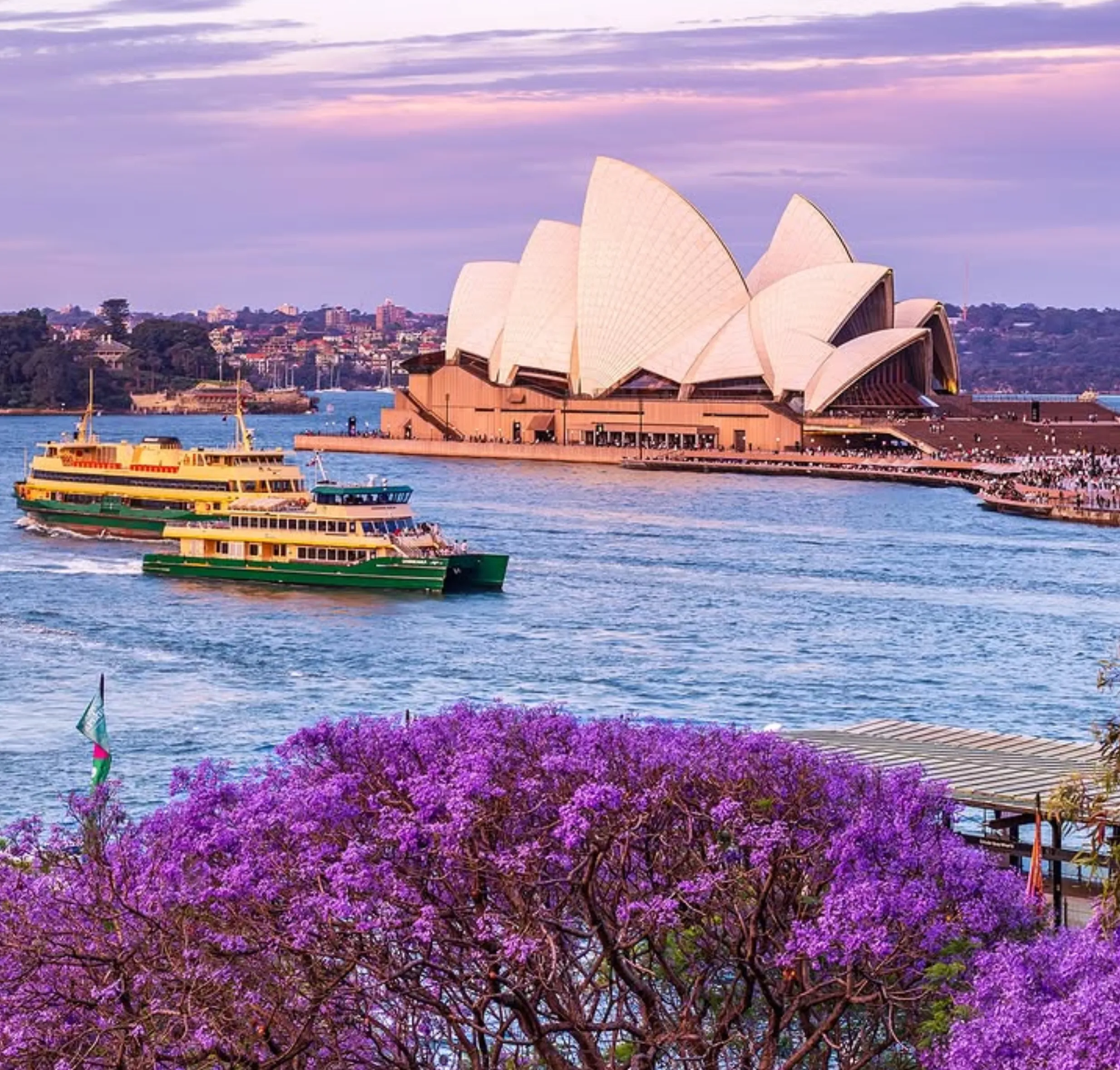 Cheap eats in Sydney CBD