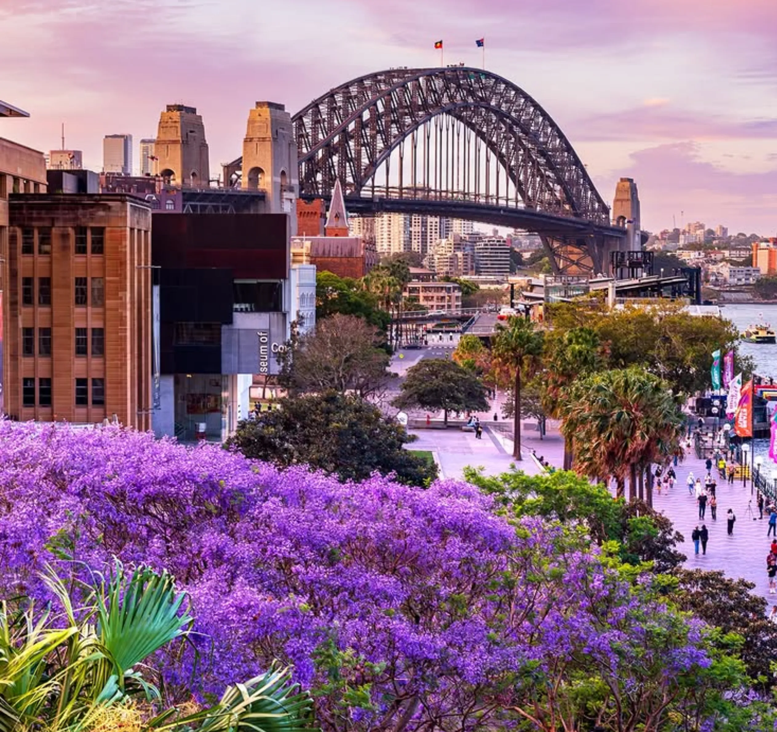 Sydney Opal card savings guide